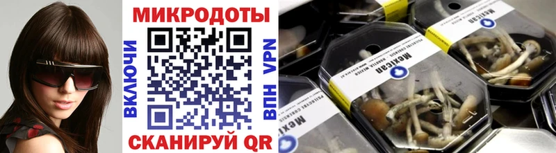 Псилоцибиновые грибы GOLDEN TEACHER  Купить где  Куровское 